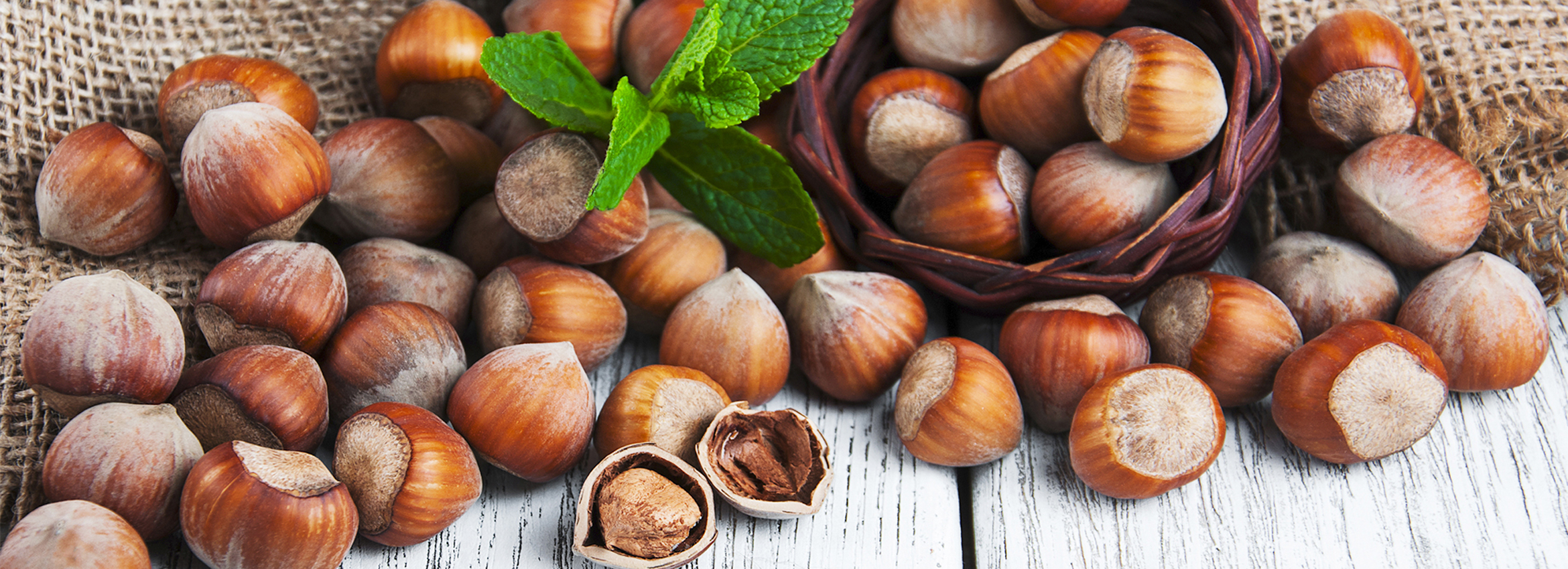 Best quality hazelnut products