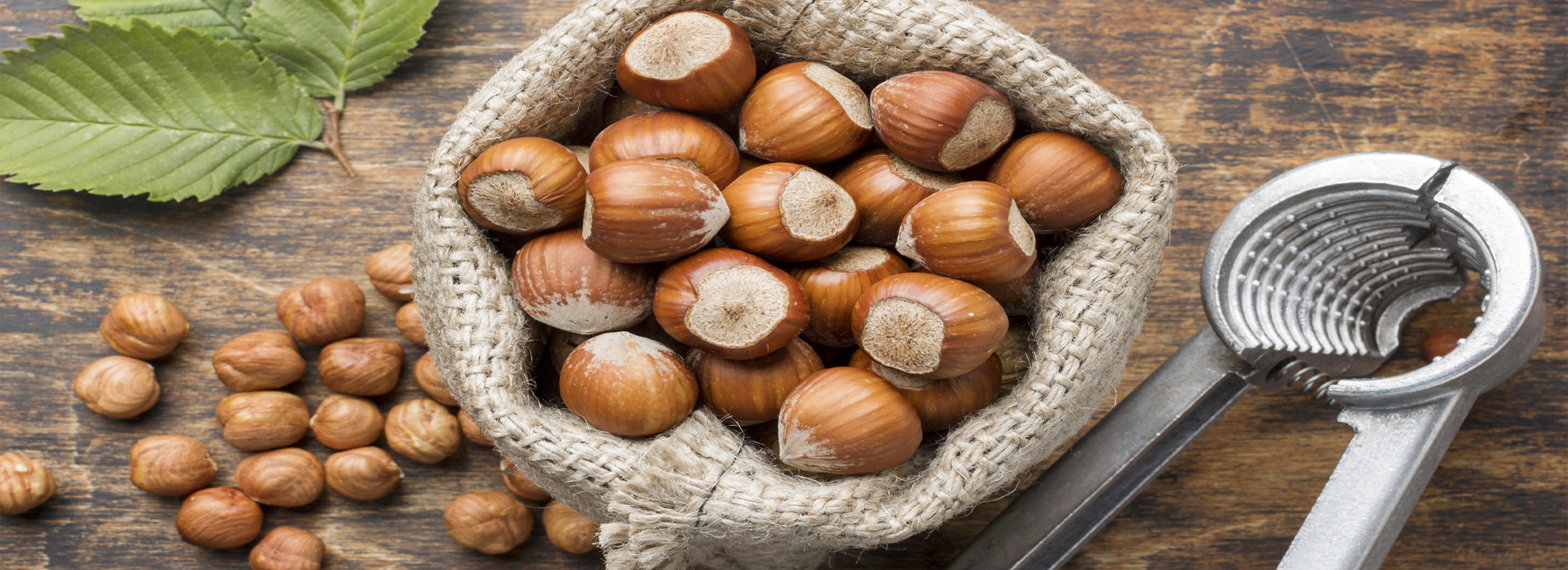 Your Partner for the premium Hazelnuts